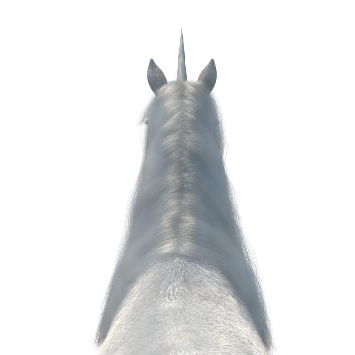 3D Unicorn with Fur 2 model