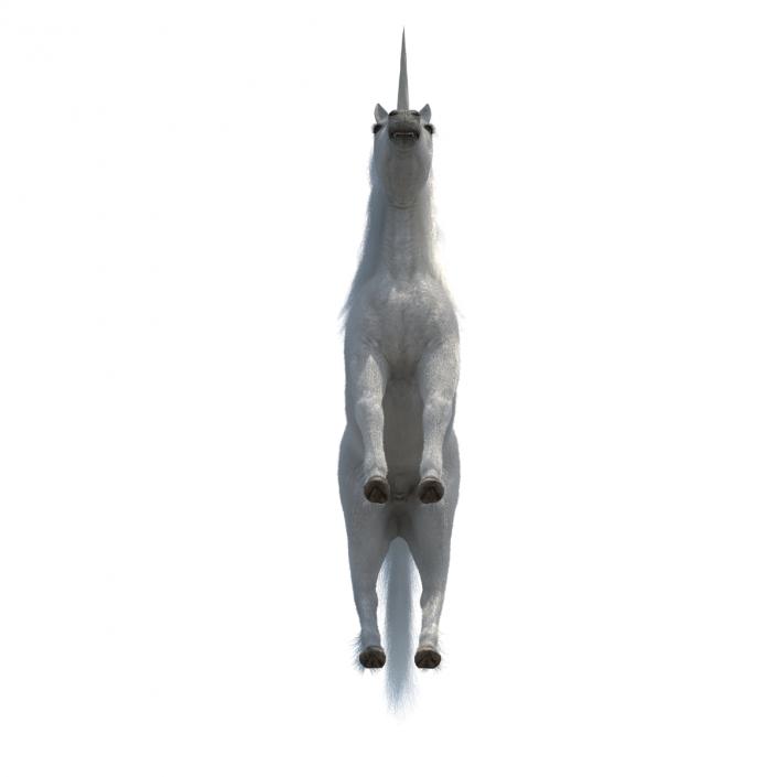 3D Unicorn with Fur 2 model