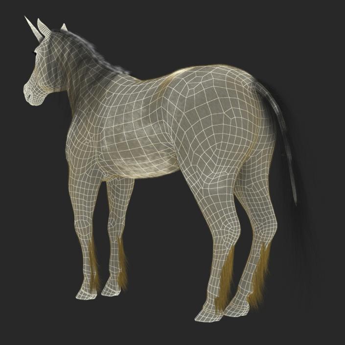 3D Unicorn with Fur 2 model