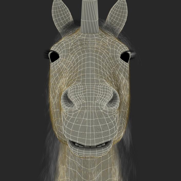 3D Unicorn with Fur 2 model