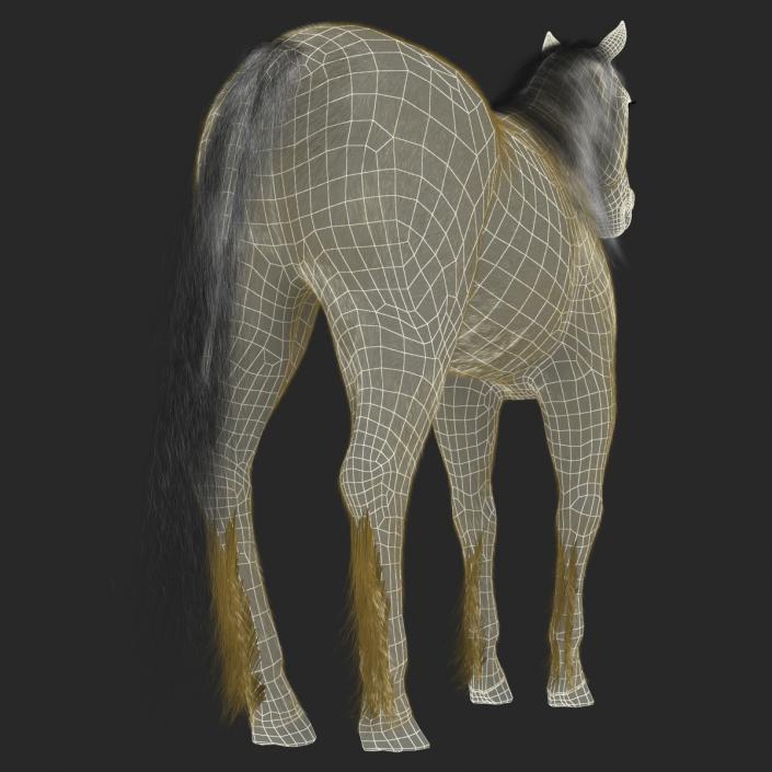 3D Unicorn with Fur 2 model