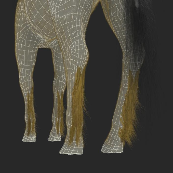 3D Unicorn with Fur 2 model