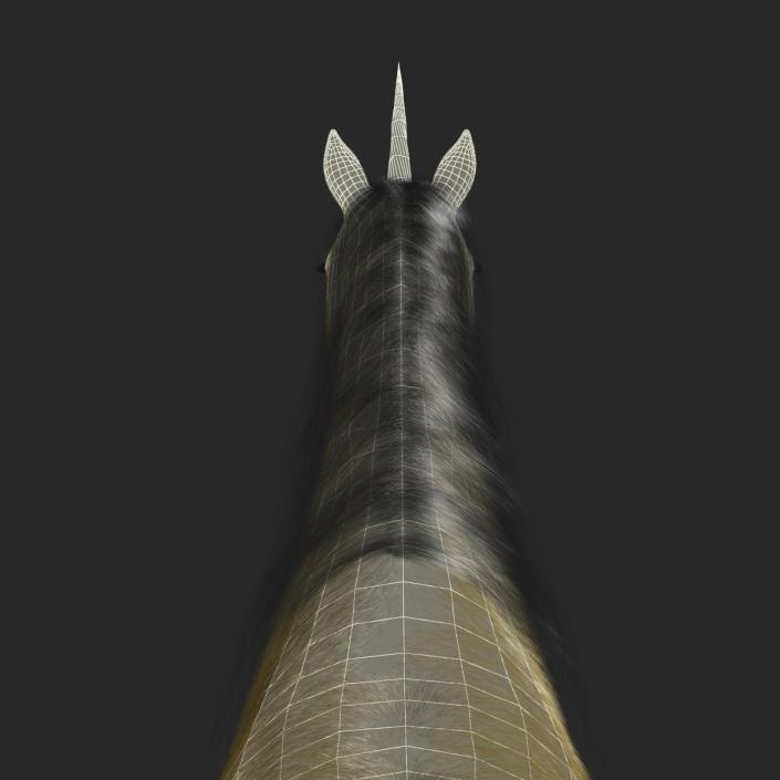 3D Unicorn with Fur 2 model