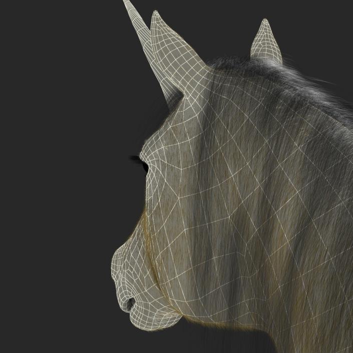 3D Unicorn with Fur 2 model