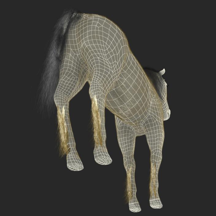 3D Unicorn with Fur 2 model