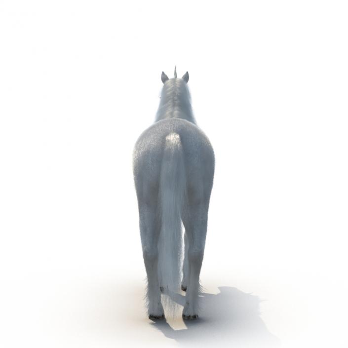 3D Unicorn with Fur 2 model