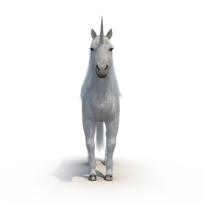 3D Unicorn with Fur 2 model