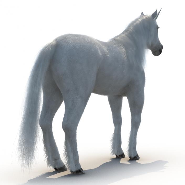 3D Unicorn with Fur 2 model