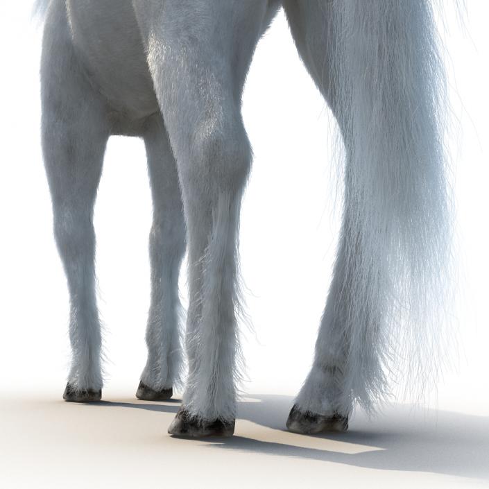 3D Unicorn with Fur 2 model