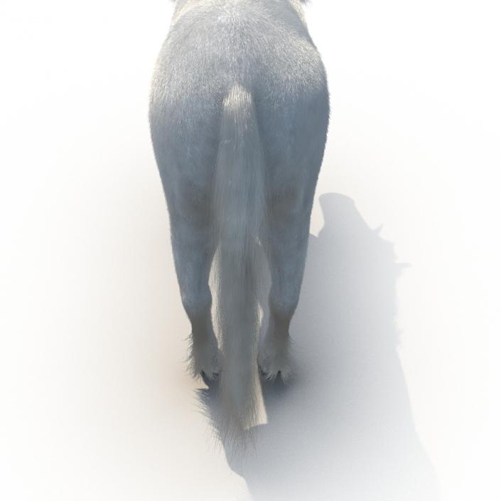 3D Unicorn with Fur 2 model