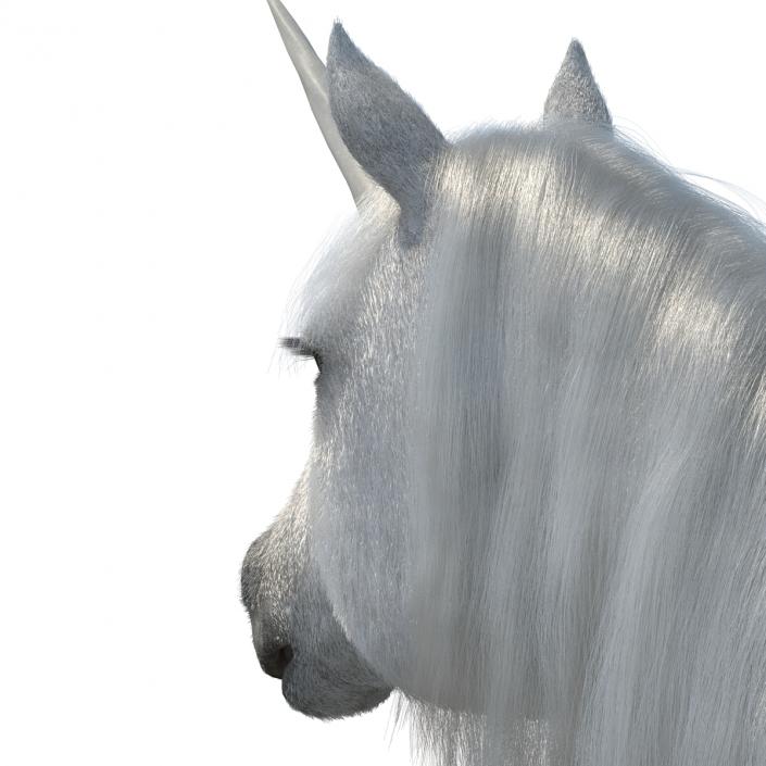 3D Unicorn with Fur 2 model