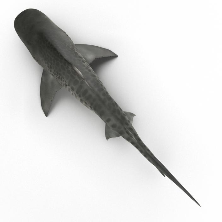 3D Tiger Shark