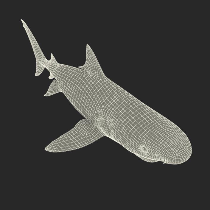 3D Tiger Shark