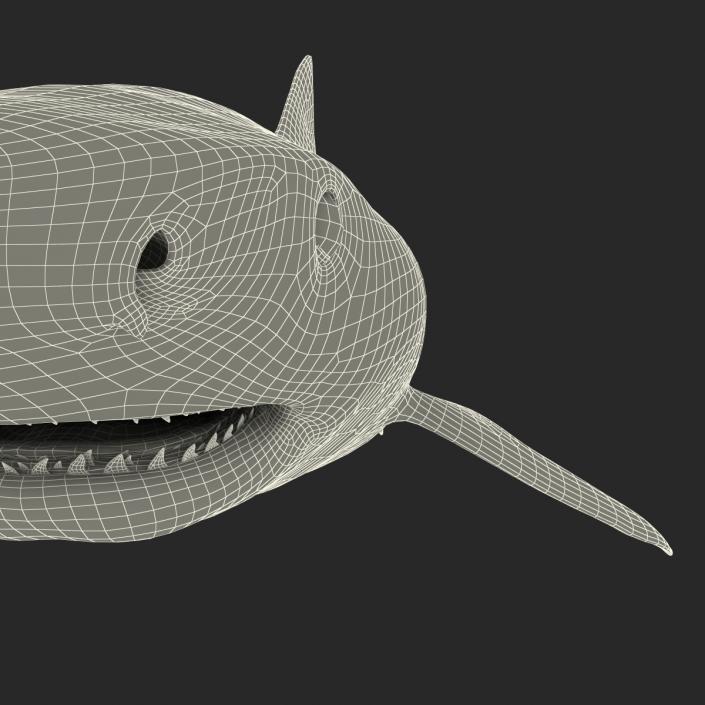 3D Tiger Shark