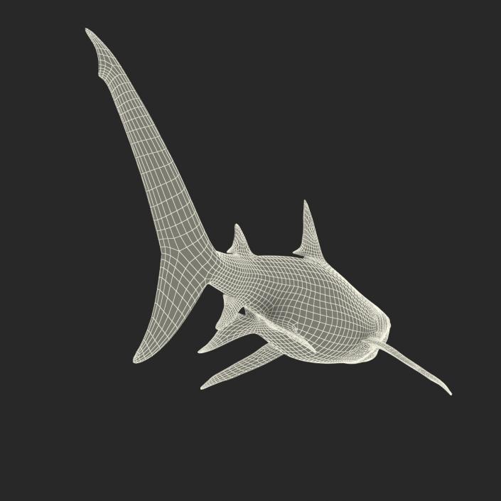 3D Tiger Shark