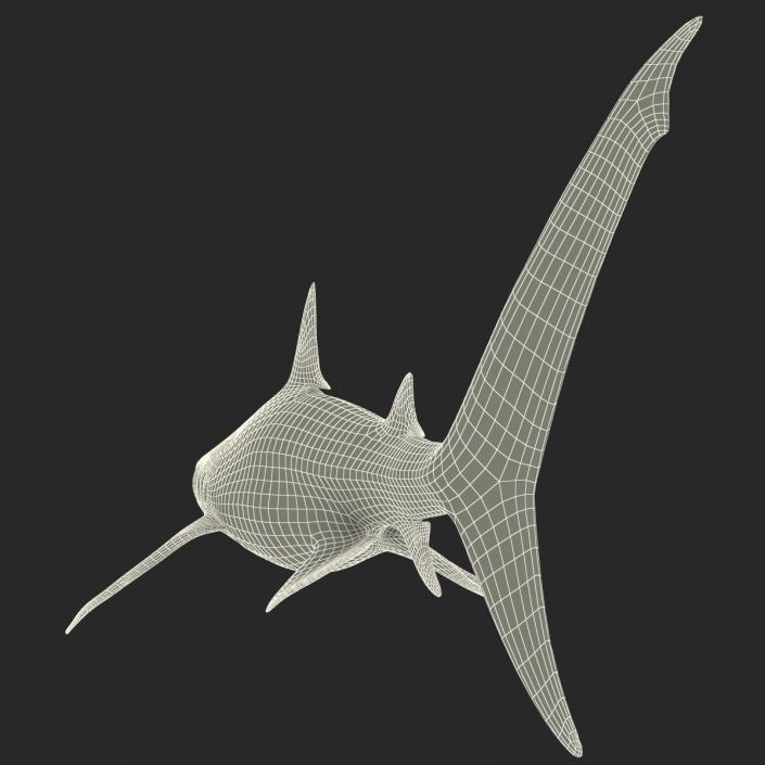 3D Tiger Shark