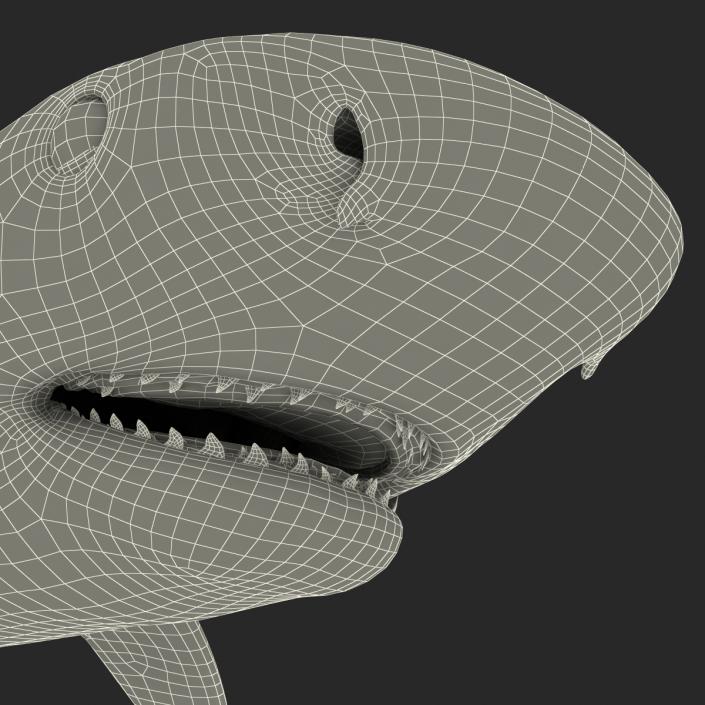 3D Tiger Shark