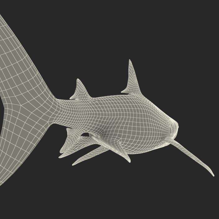 3D Tiger Shark