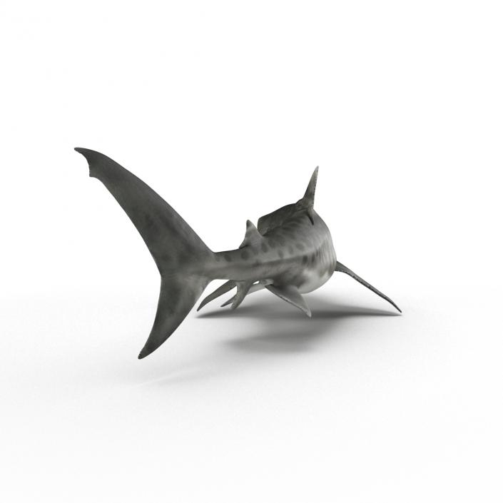 3D model Tiger Shark Swimming