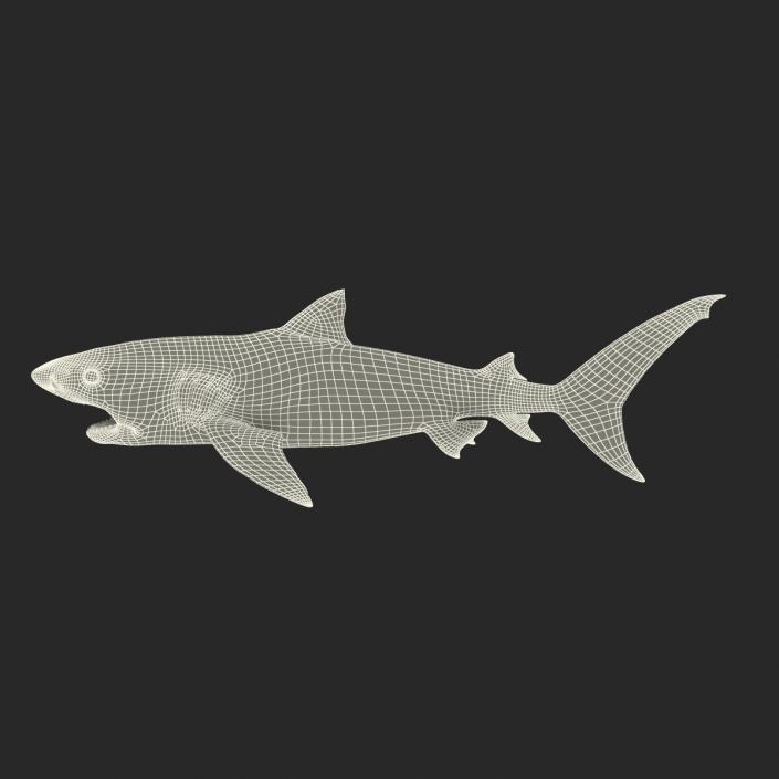 3D model Tiger Shark Swimming