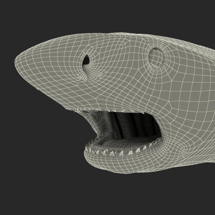 3D model Tiger Shark Swimming