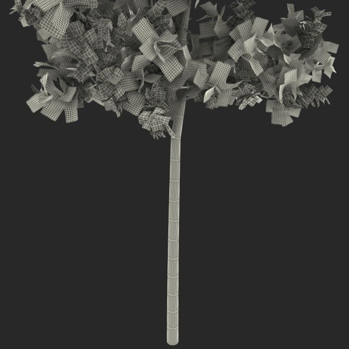 Young White Oak Summer 3D