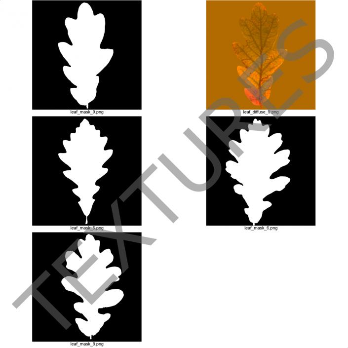 Young White Oak Autumn 3D