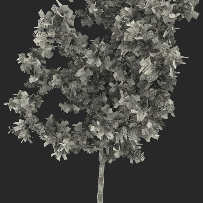 Young White Oak Autumn 3D