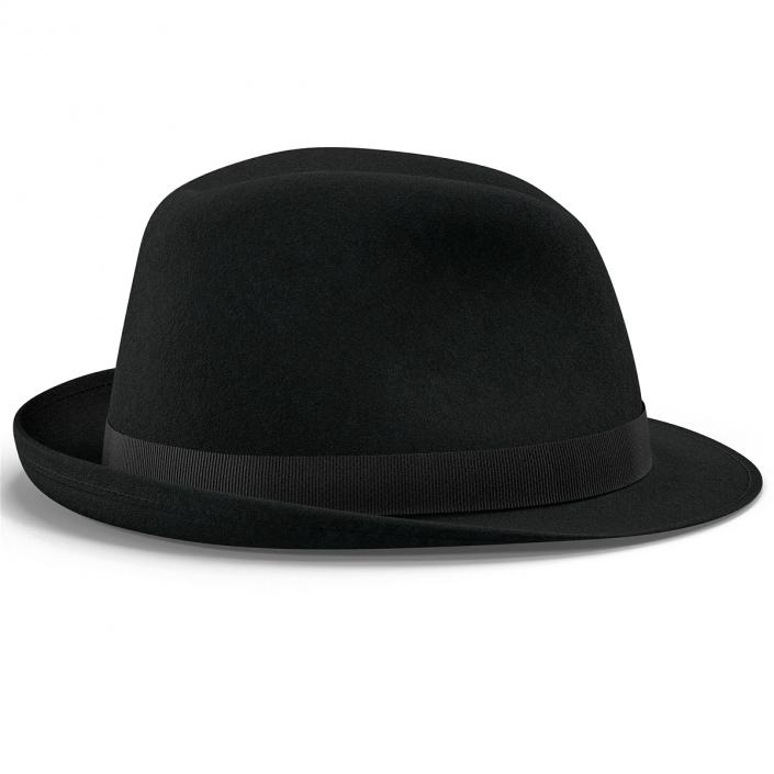 Fedora Hat 2 3D