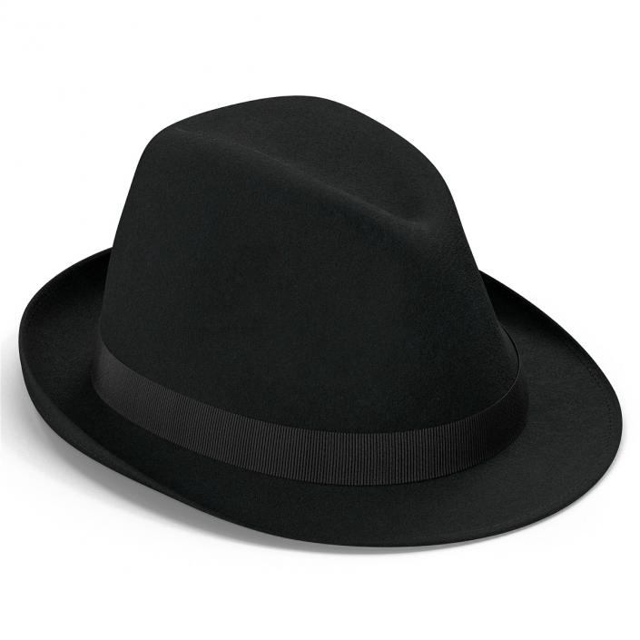 Fedora Hat 2 3D