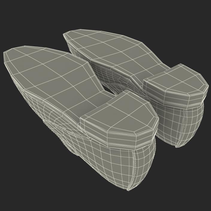 3D model Old Man Shoes 4