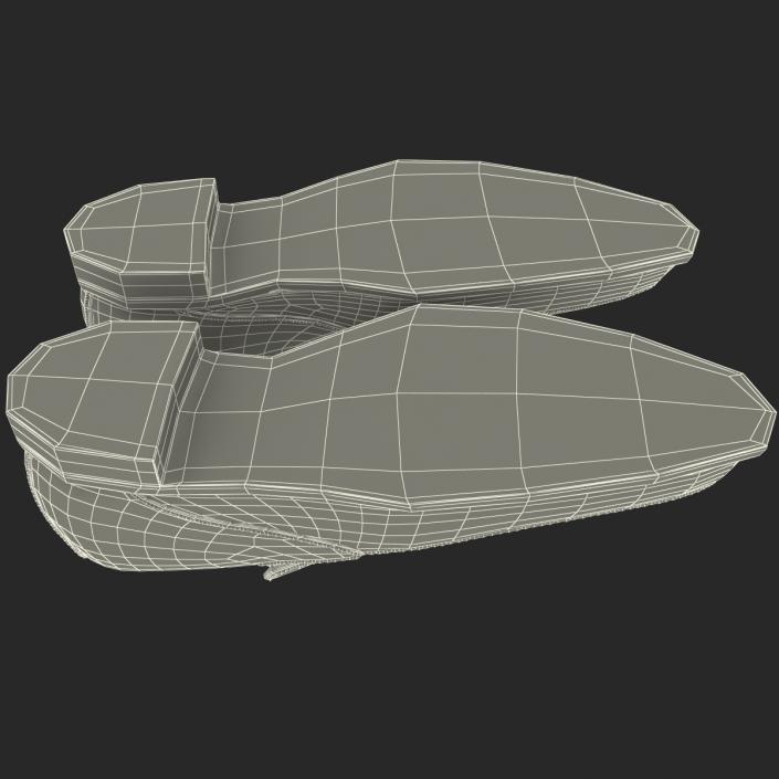 3D model Old Man Shoes 4