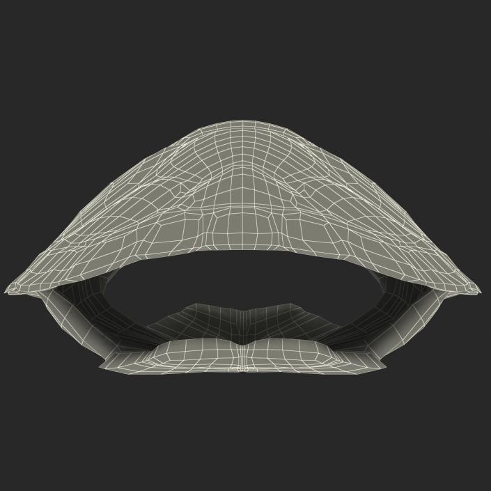 Turtle Shell 3D