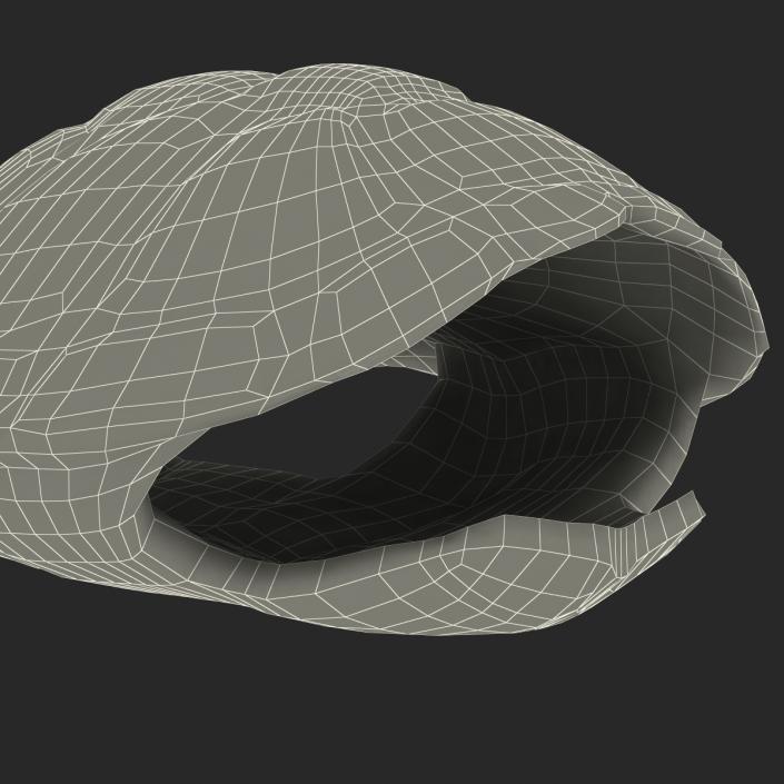 Turtle Shell 3D