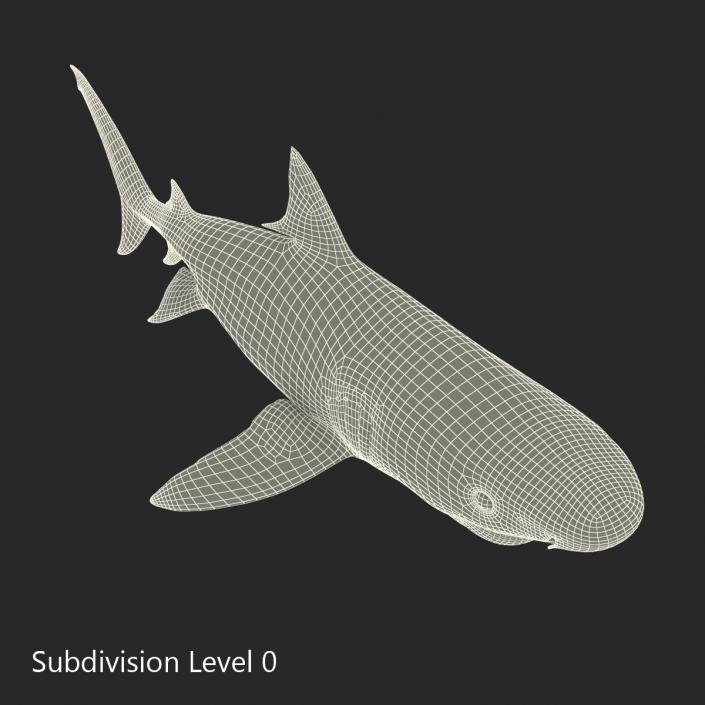 3D Tiger Shark