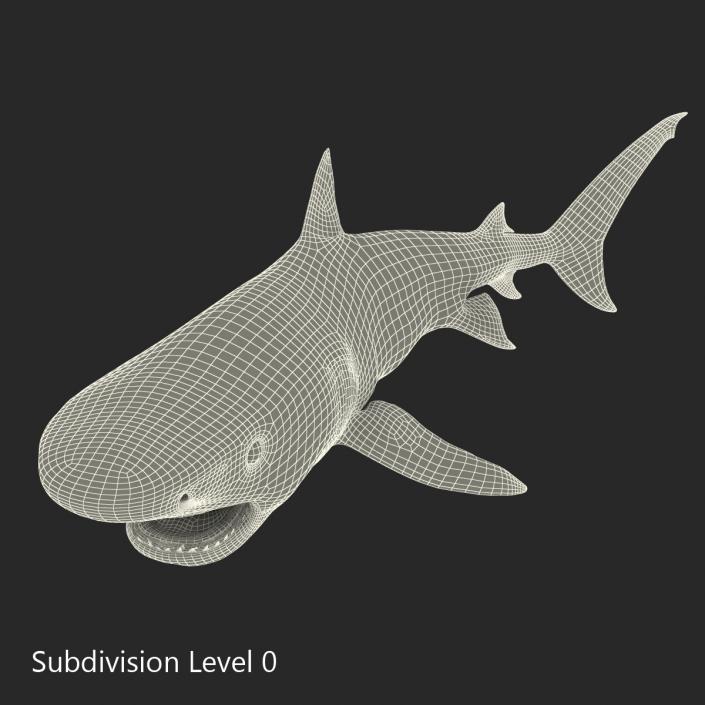 3D model Tiger Shark Swimming