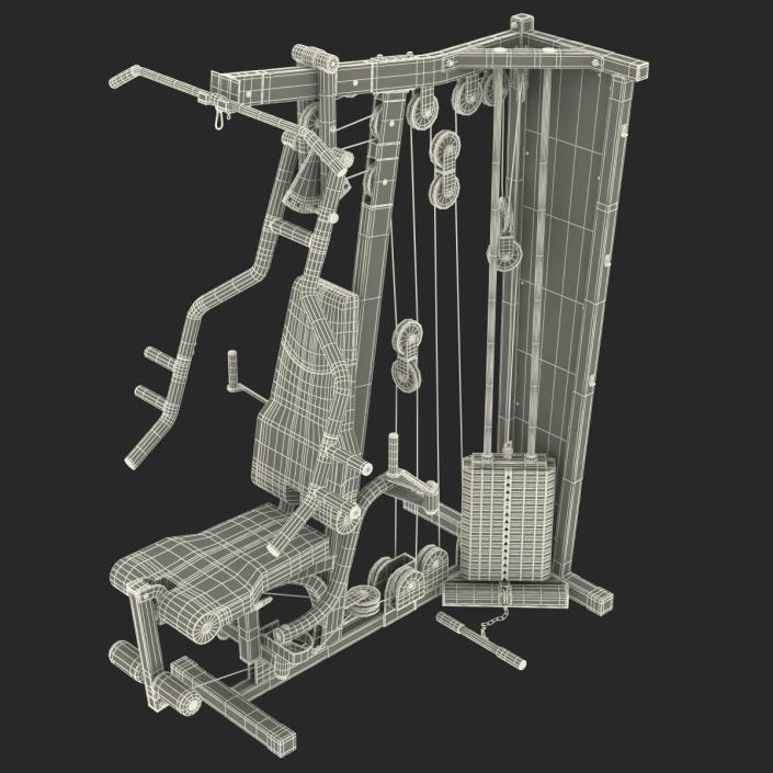 Weight Machine 3D model