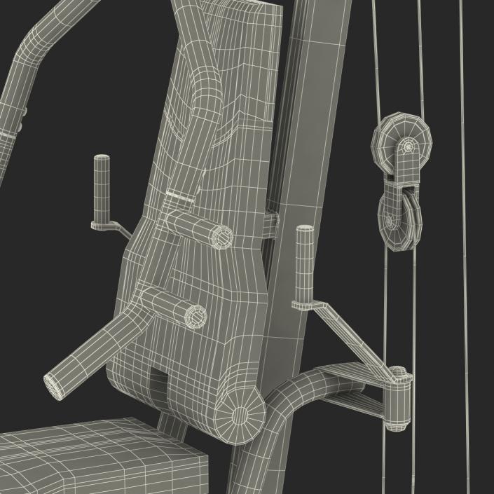 Weight Machine 3D model