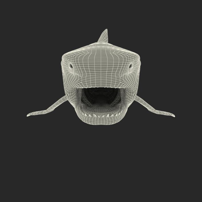 3D Tiger Shark Rigged model