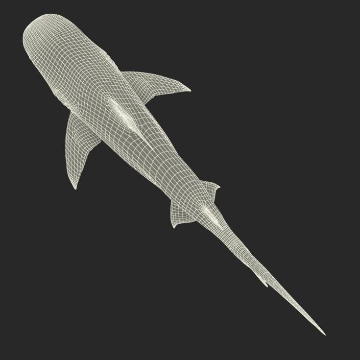 3D Tiger Shark Rigged model