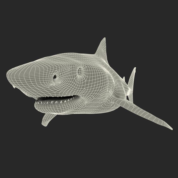 3D Tiger Shark Rigged model