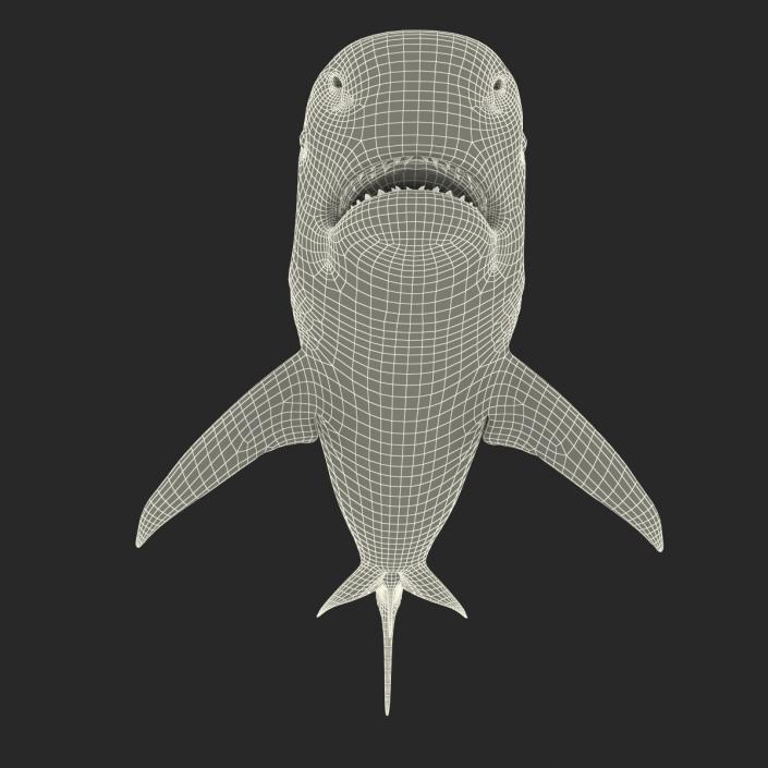 3D Tiger Shark Rigged model