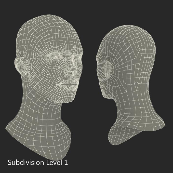 African American Woman Head 3D