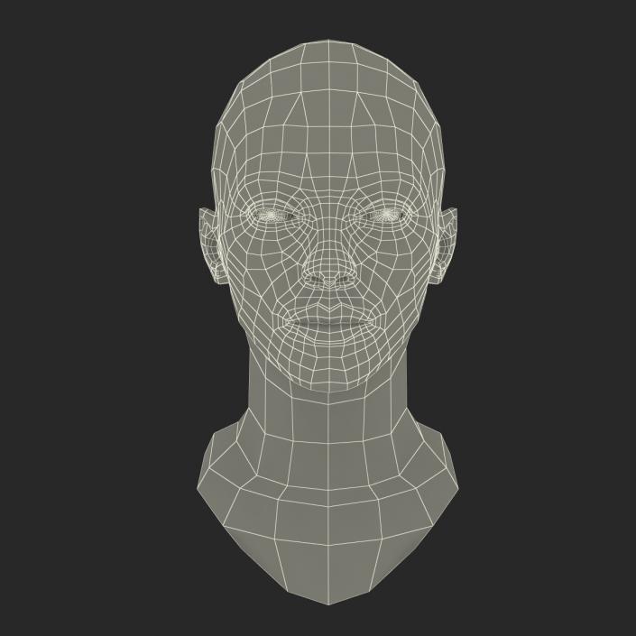 African American Woman Head 3D