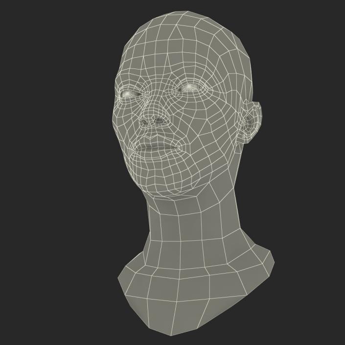 African American Woman Head 3D