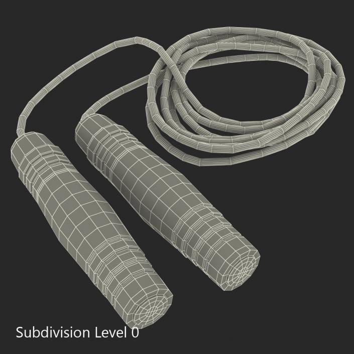 3D Exercise Jump Rope model