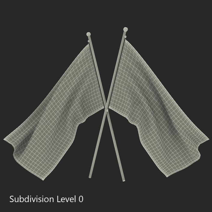 3D Racing Flag 4 model