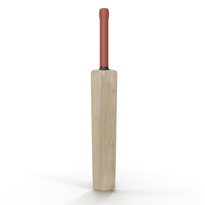 3D Cricket Bat