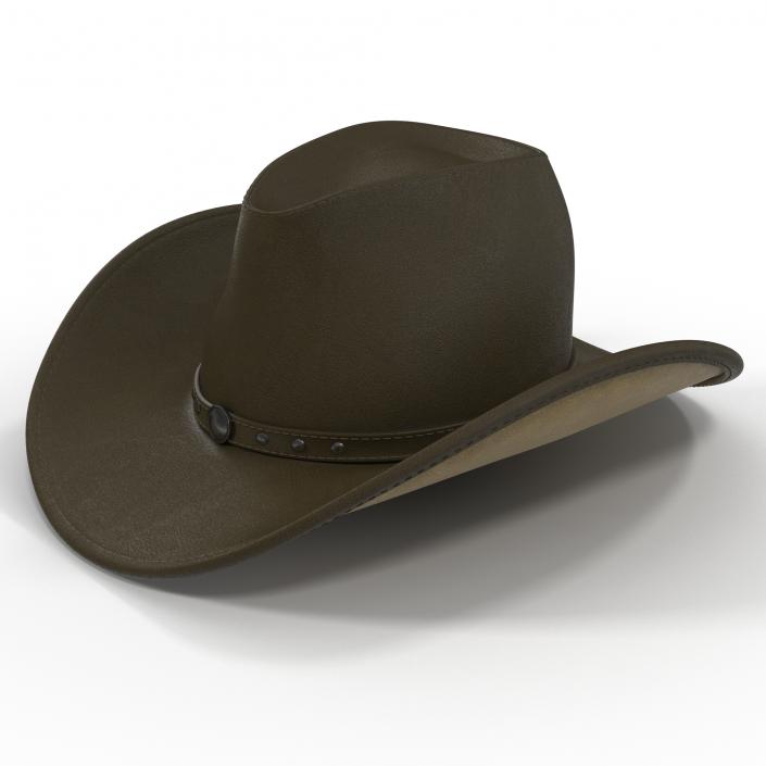 Cowboy Hat 2 3D