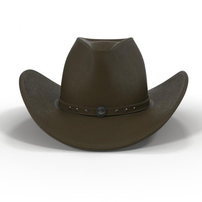 Cowboy Hat 2 3D